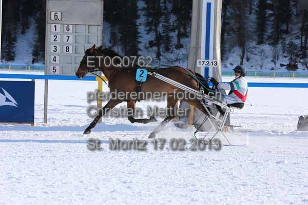 ET0Q0762 prot